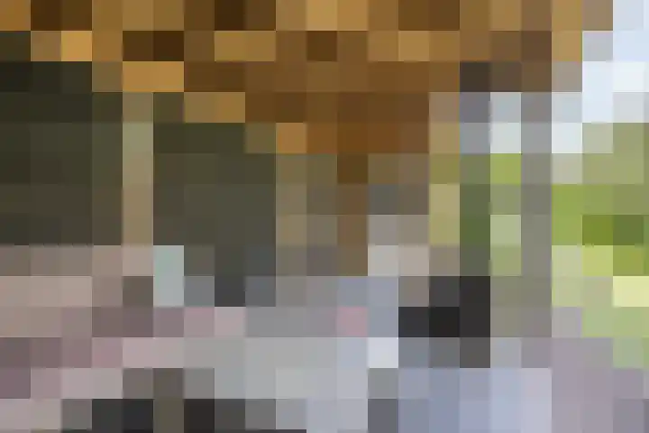 Nehalennialaan 24 Naaldwijk thumbnail 37