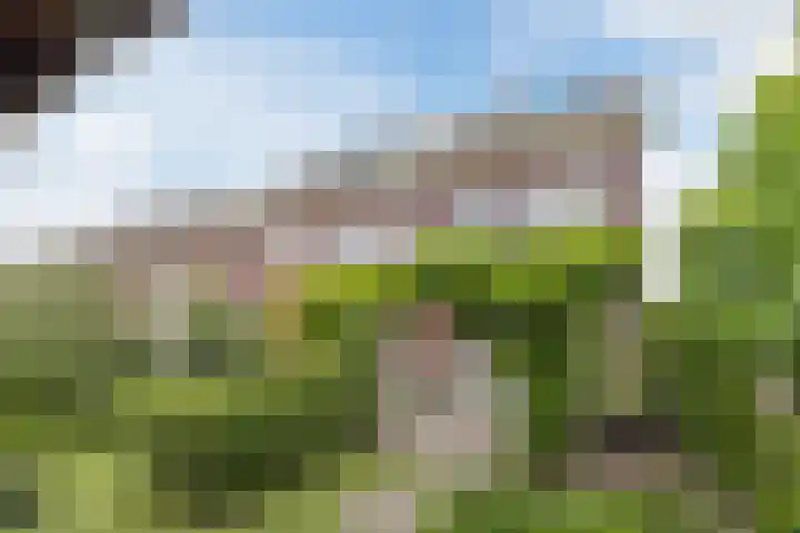 Nehalennialaan 24 Naaldwijk thumbnail 39