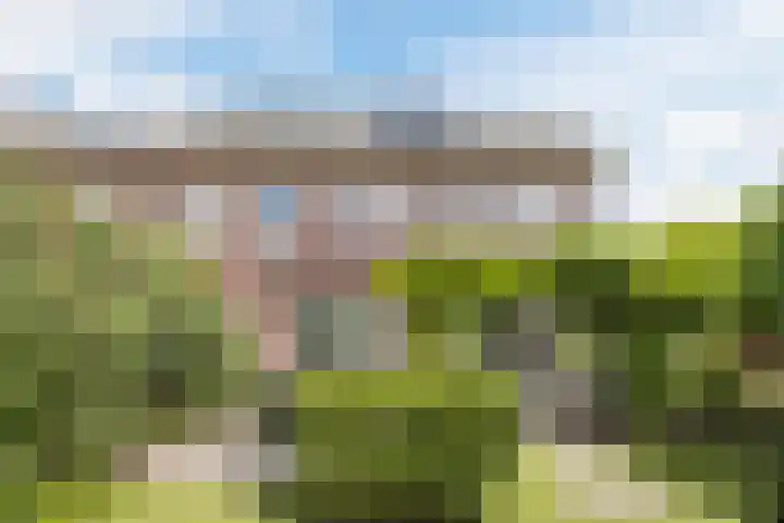 Nehalennialaan 24 Naaldwijk thumbnail 40