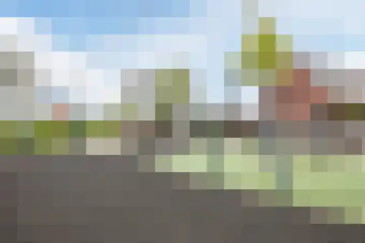Nehalennialaan 24 Naaldwijk thumbnail 41