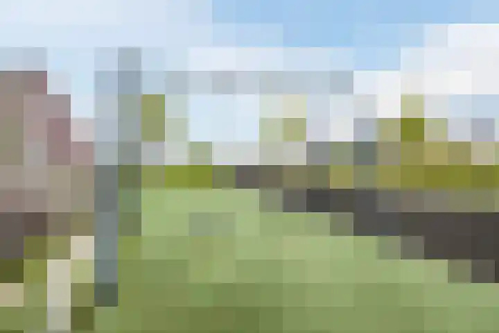 Nehalennialaan 24 Naaldwijk thumbnail 42