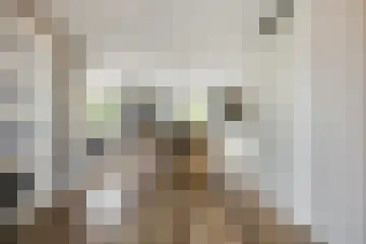 Nehalennialaan 24 Naaldwijk thumbnail 9