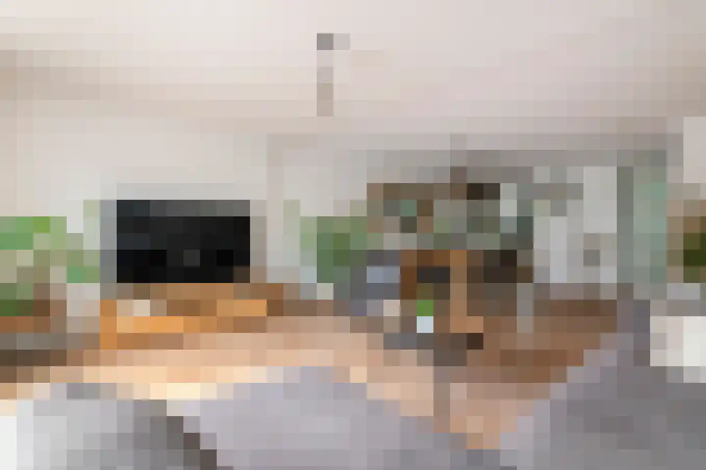 Nehalenniastraat 20 Tiel thumbnail 12