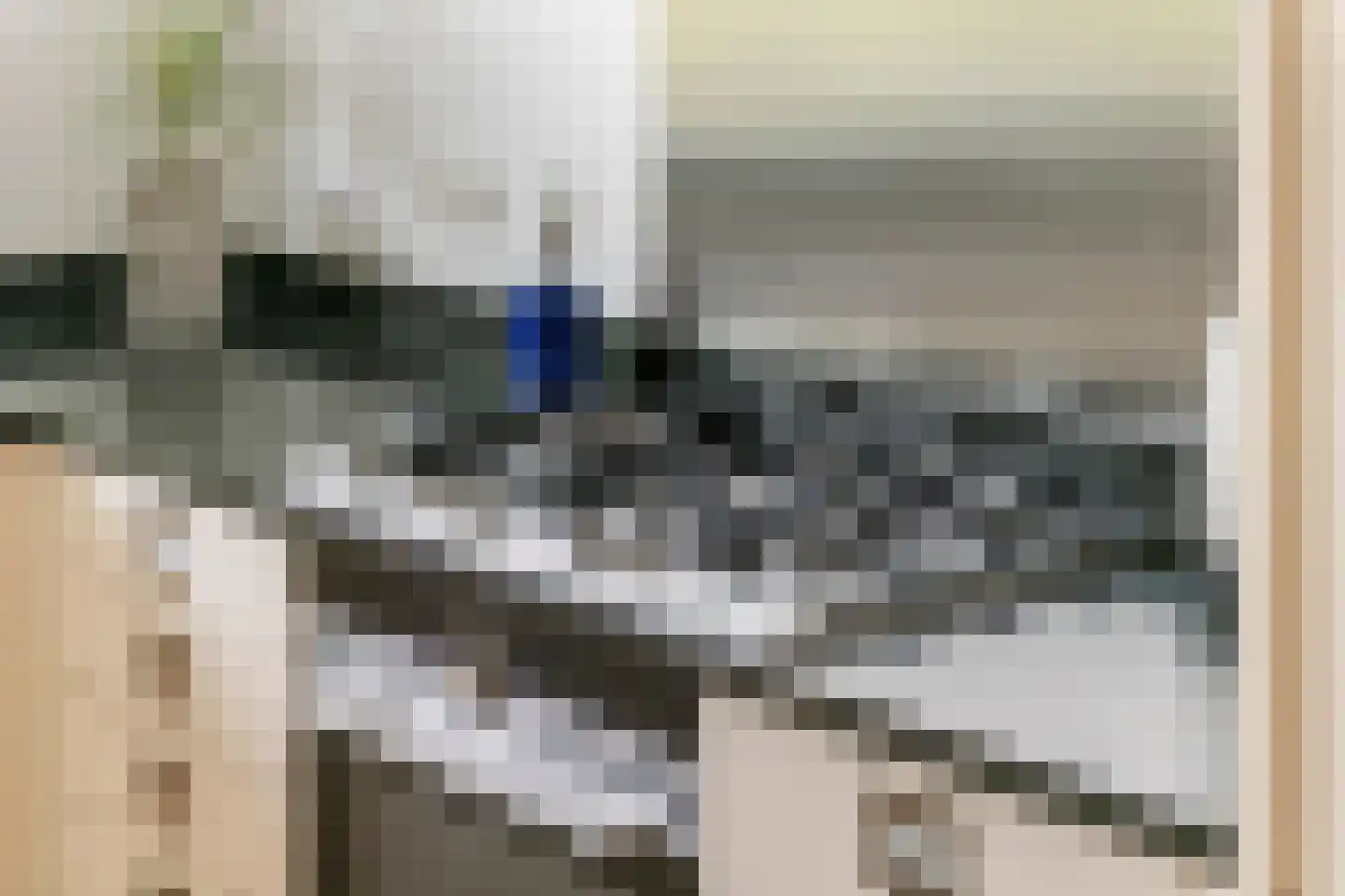 Nehalenniastraat 20 Tiel thumbnail 18