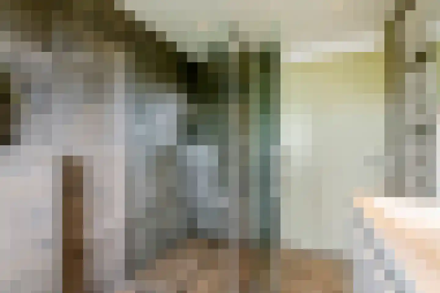 Nehalenniastraat 20 Tiel thumbnail 23