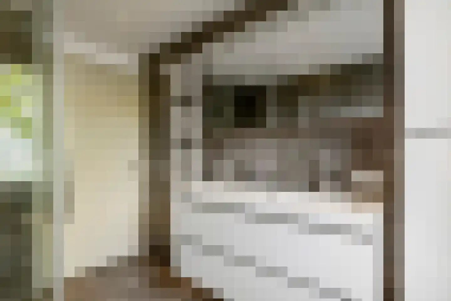 Nehalenniastraat 20 Tiel thumbnail 24