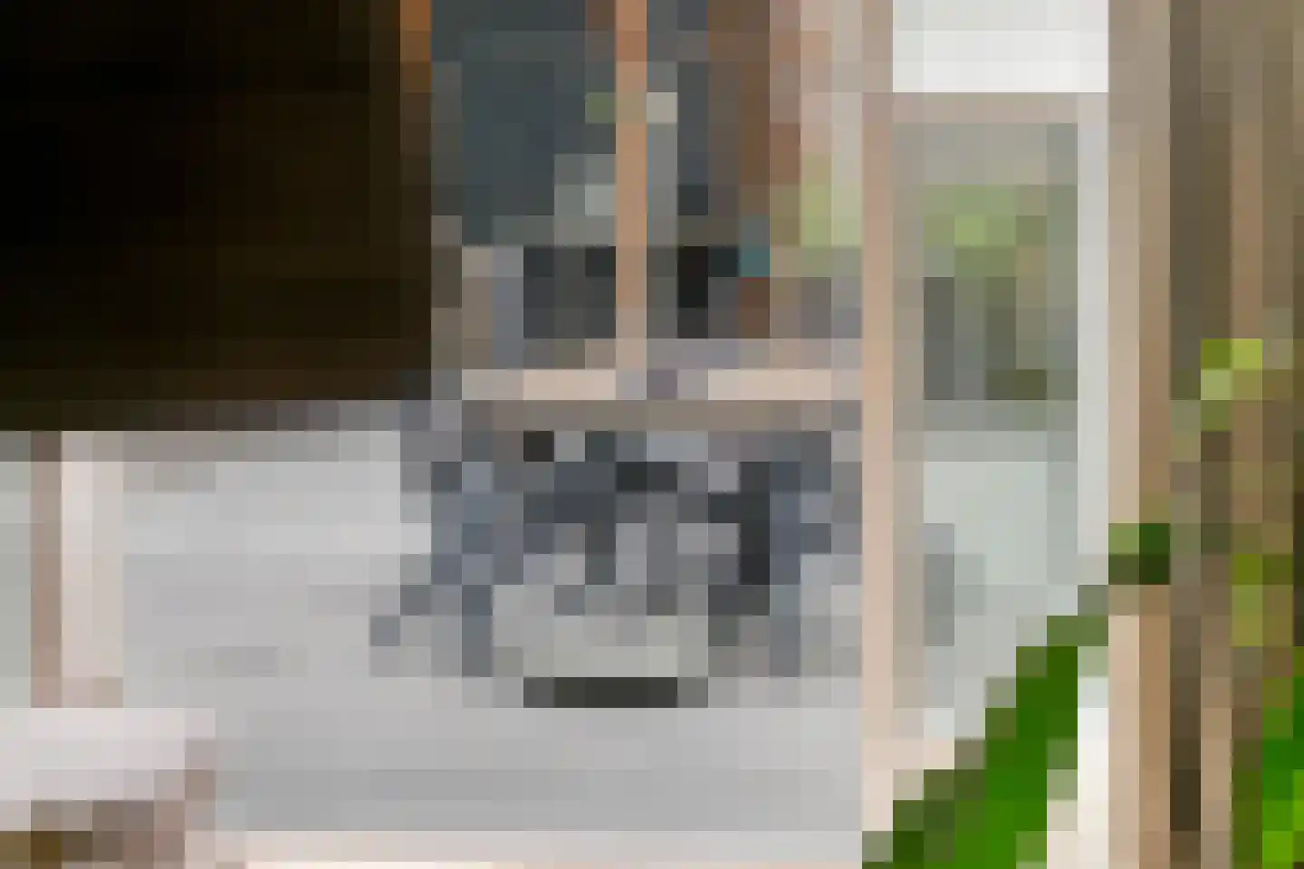 Nehalenniastraat 20 Tiel thumbnail 37