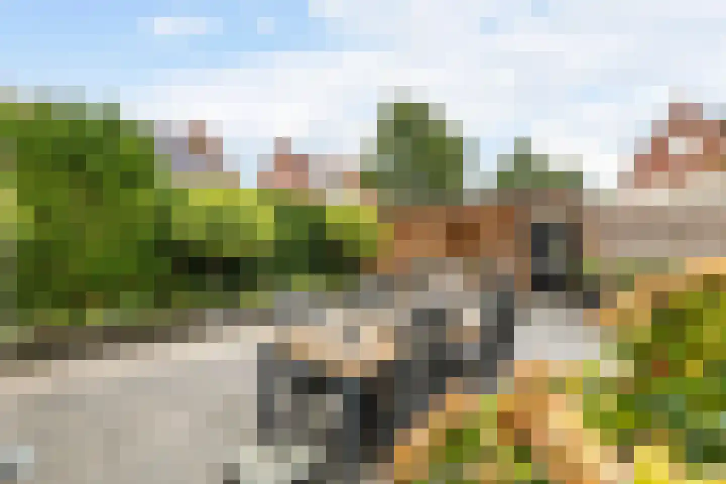 Nehalenniastraat 20 Tiel thumbnail 38