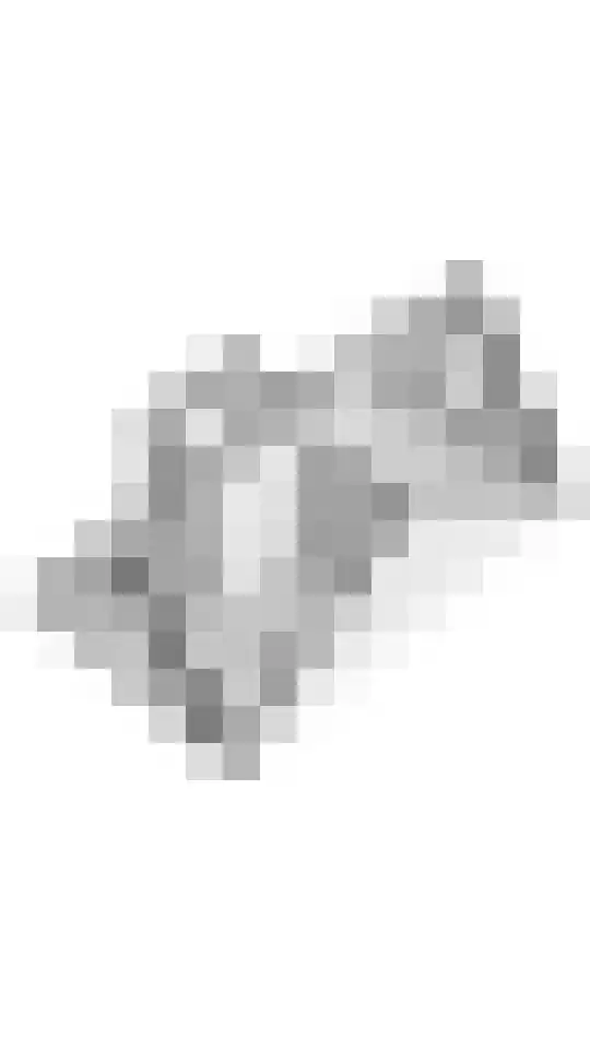 Nehalenniastraat 20 Tiel thumbnail 52