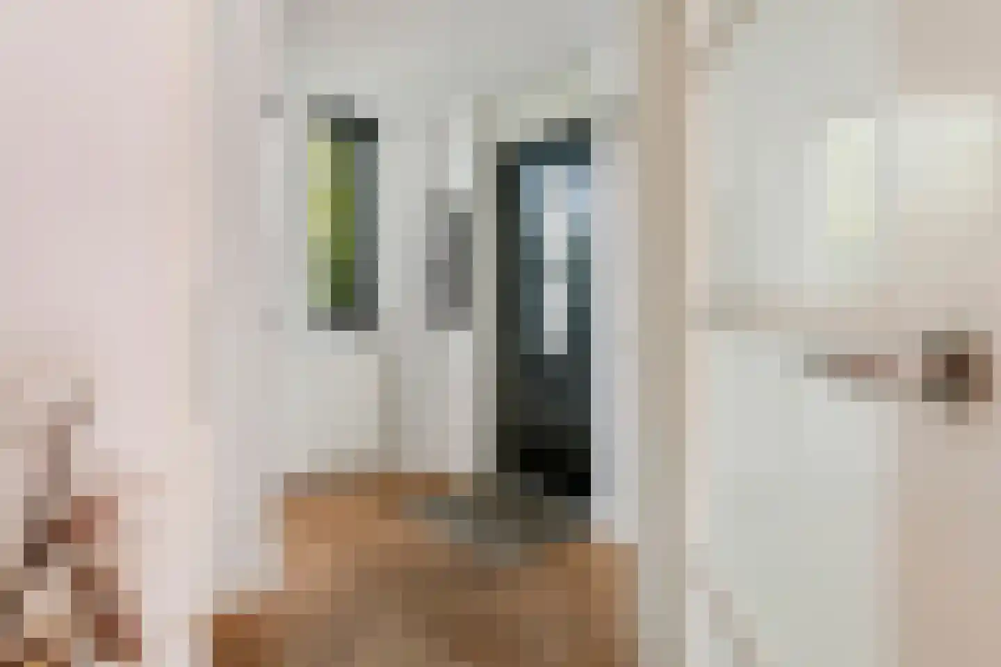 Nehalenniastraat 20 Tiel thumbnail 6