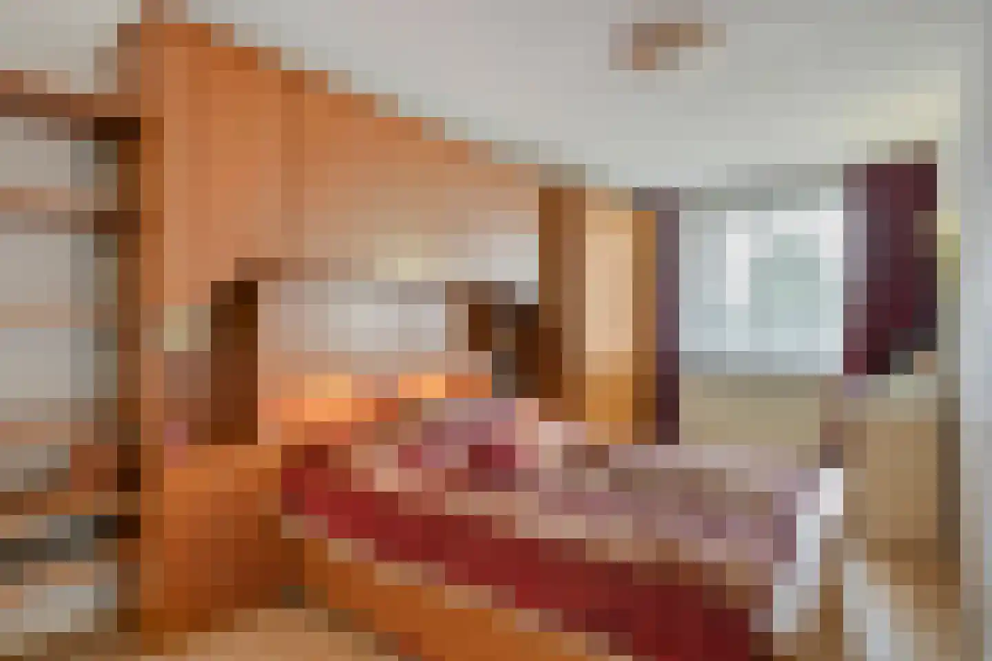 Neherkade 1484 Den Haag thumbnail 16