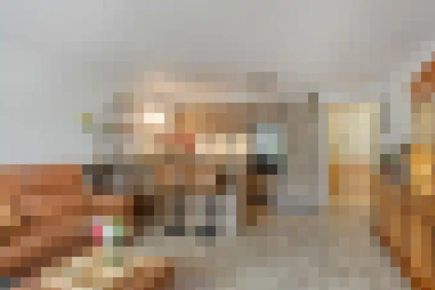 Neherkade 1484 Den Haag thumbnail 7