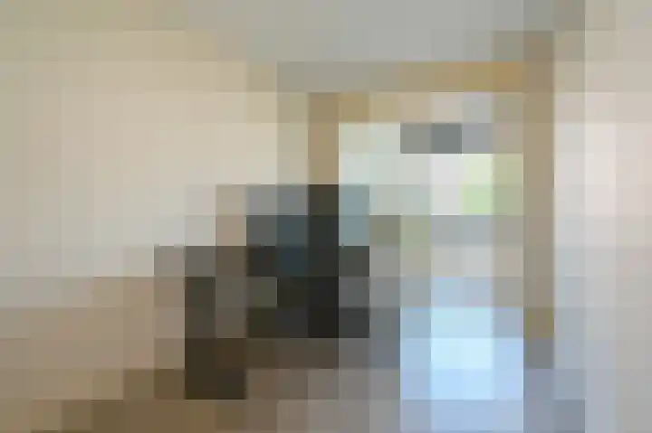 Neherkade 1488 Den Haag thumbnail 12