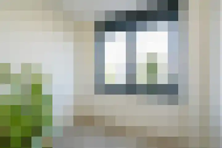 Neherkade 1488 Den Haag thumbnail 14