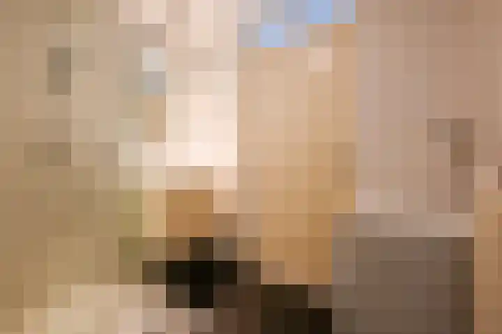 Neherkade 1488 Den Haag thumbnail 16