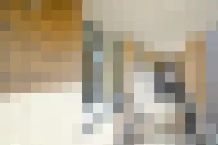 Neherkade 1488 Den Haag thumbnail 20