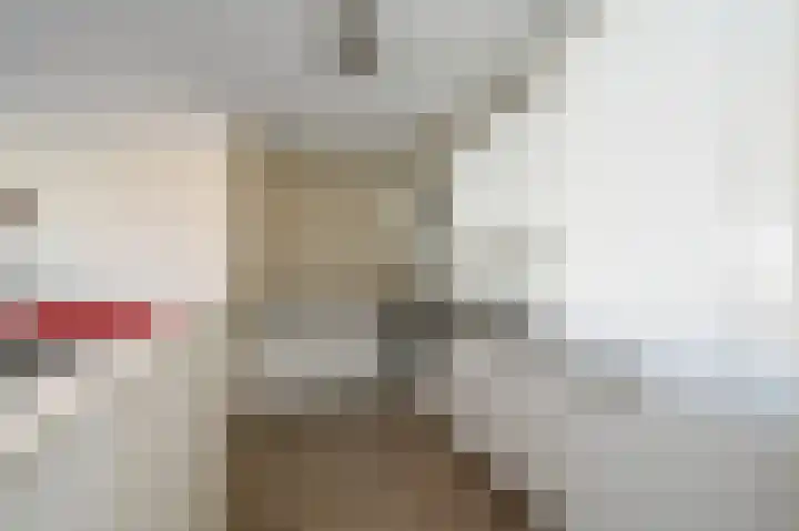 Neherkade 1488 Den Haag thumbnail 5