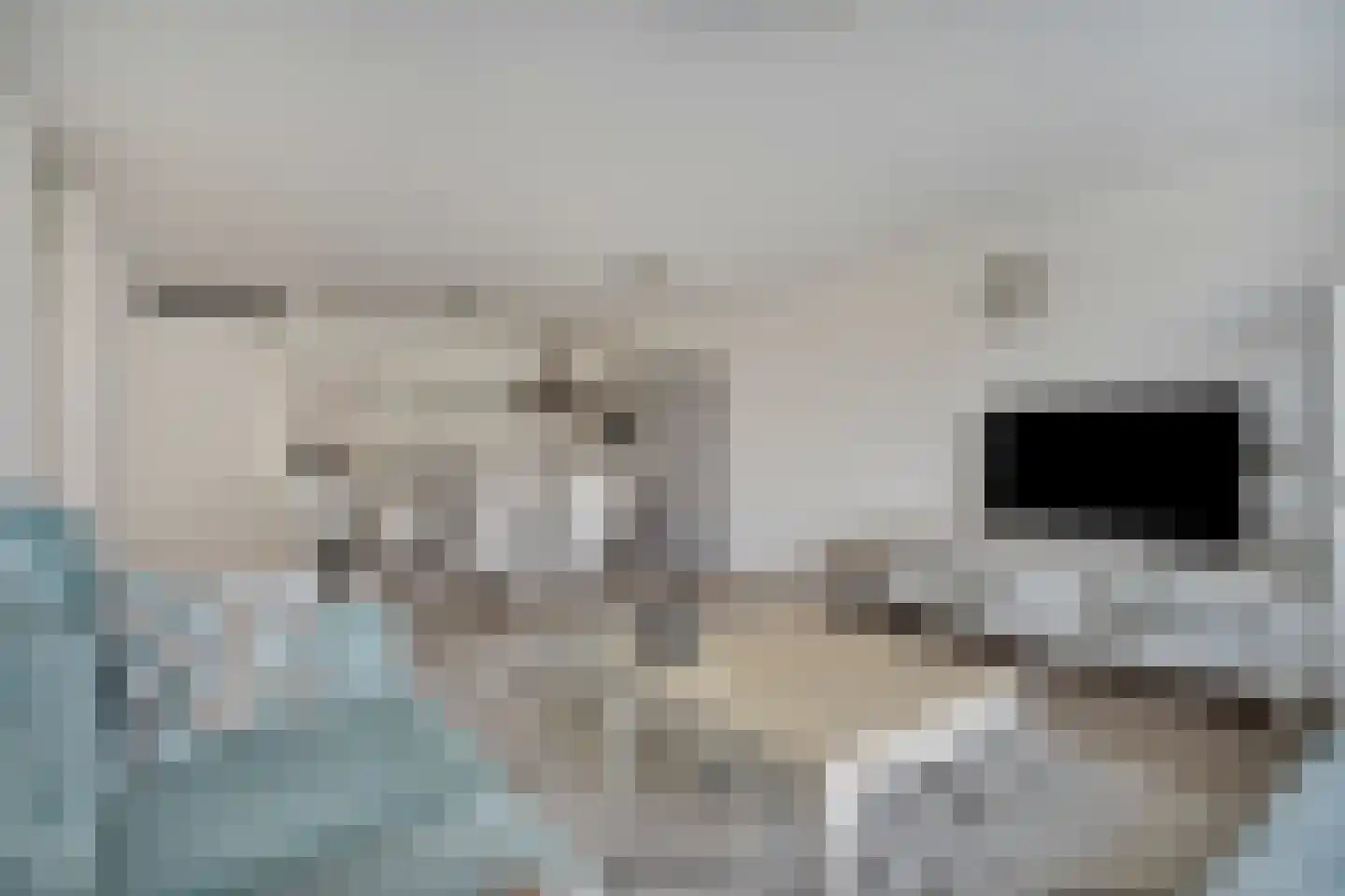 Neherkade 1494 Den Haag thumbnail 12