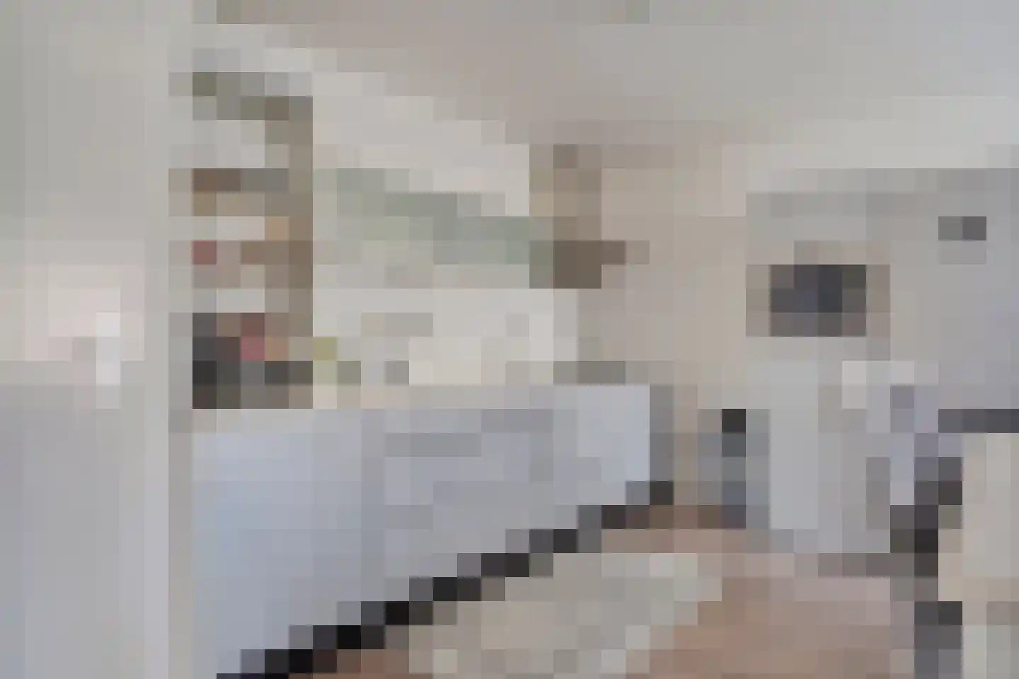 Neherkade 1494 Den Haag thumbnail 14