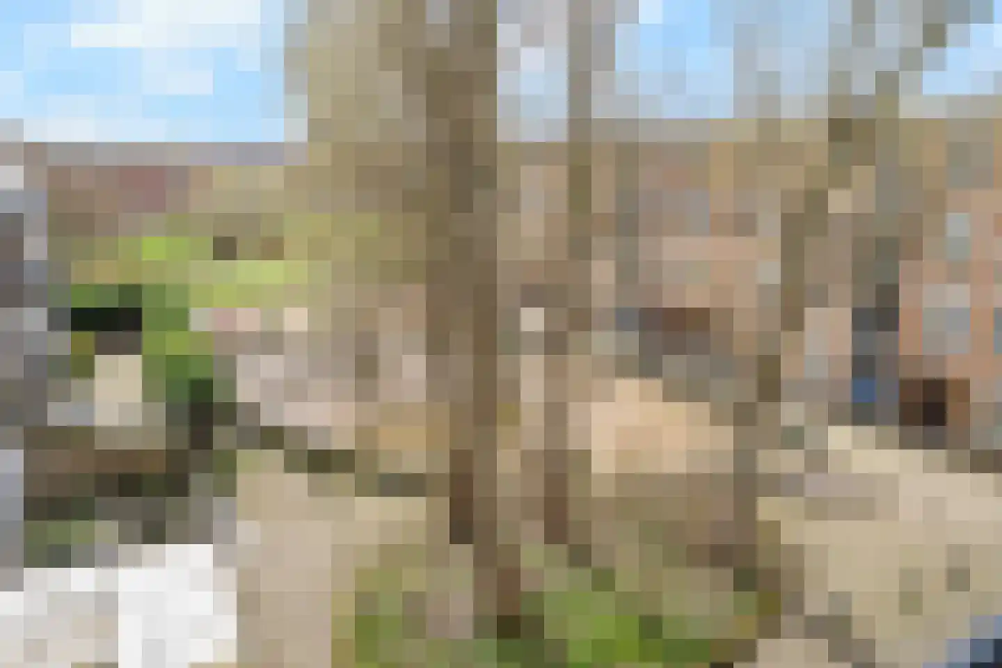 Neherkade 1494 Den Haag thumbnail 28