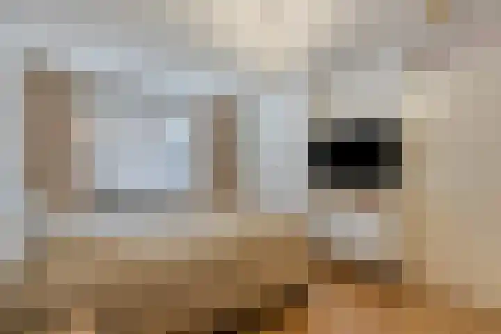 Neherkade 1632 Den Haag thumbnail 10