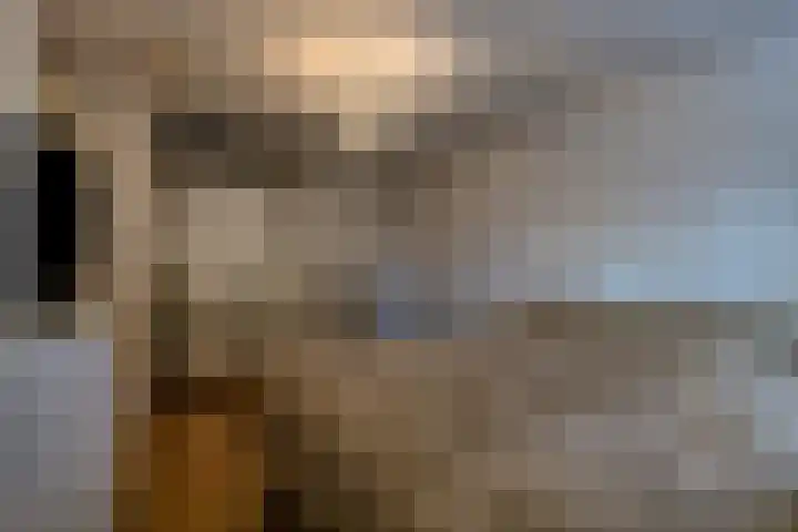 Neherkade 1632 Den Haag thumbnail 11