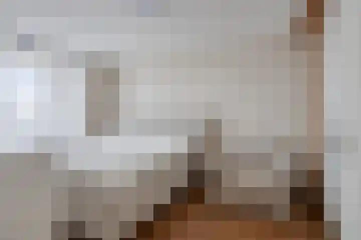 Neherkade 1674 Den Haag thumbnail 22
