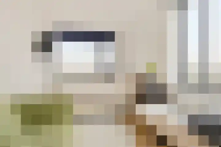 Neherkade 1694 Den Haag thumbnail 12