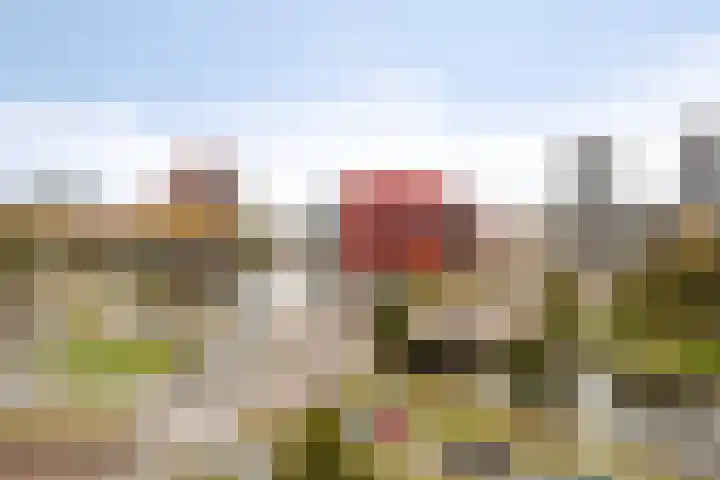 Neherkade 1694 Den Haag thumbnail 22