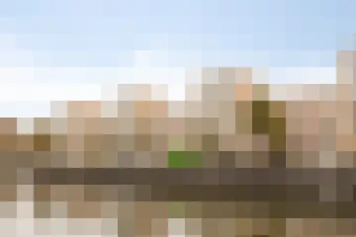 Neherkade 1694 Den Haag thumbnail 24