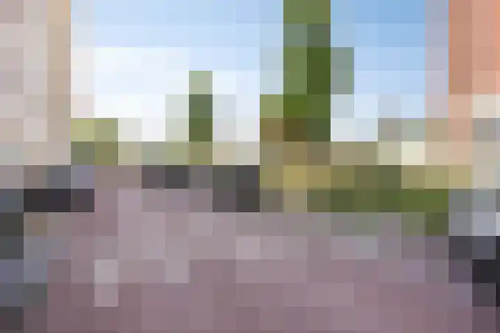 Neherkade 1696 Den Haag thumbnail 27