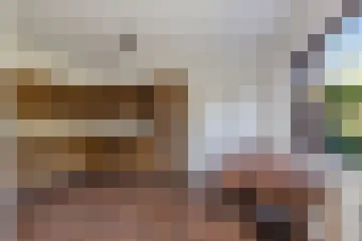 Neherlaan 35 Eindhoven thumbnail 12