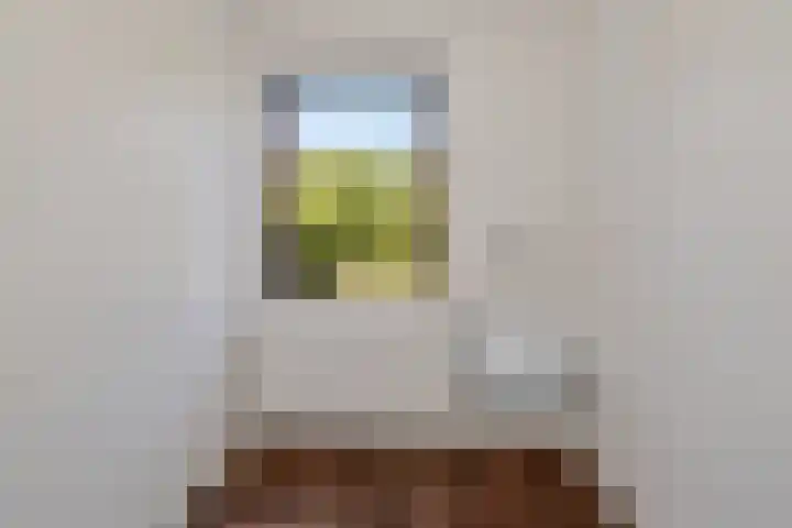 Neherlaan 35 Eindhoven thumbnail 29