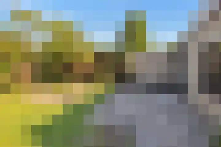 Neherlaan 35 Eindhoven thumbnail 31