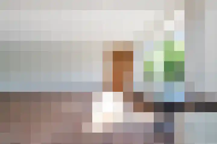Neherlaan 35 Eindhoven thumbnail 8