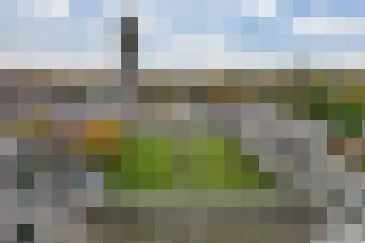 Neherpark 62 Leidschendam thumbnail 39