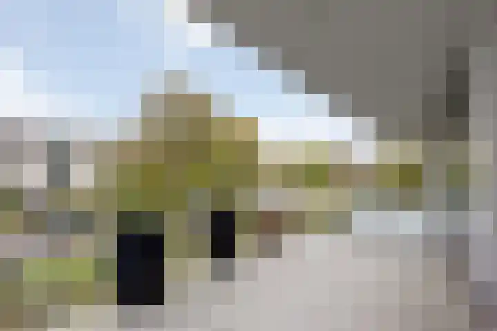 Neherpark 92 Leidschendam thumbnail 29