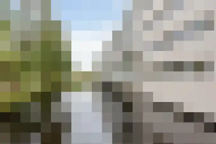 Neherpark 92 Leidschendam thumbnail 51