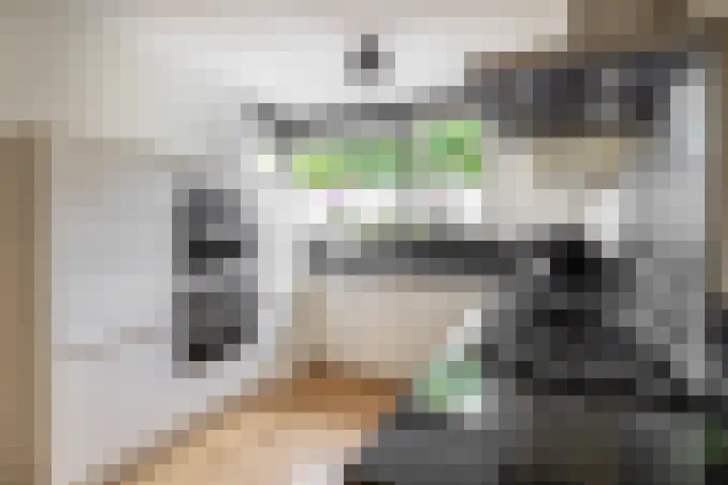 Nehrusingel 124 Rotterdam thumbnail 13