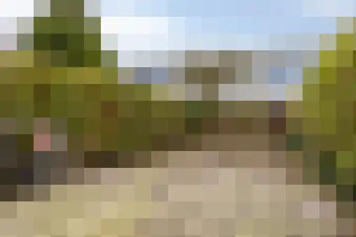 Nehrusingel 130 Rotterdam thumbnail 23
