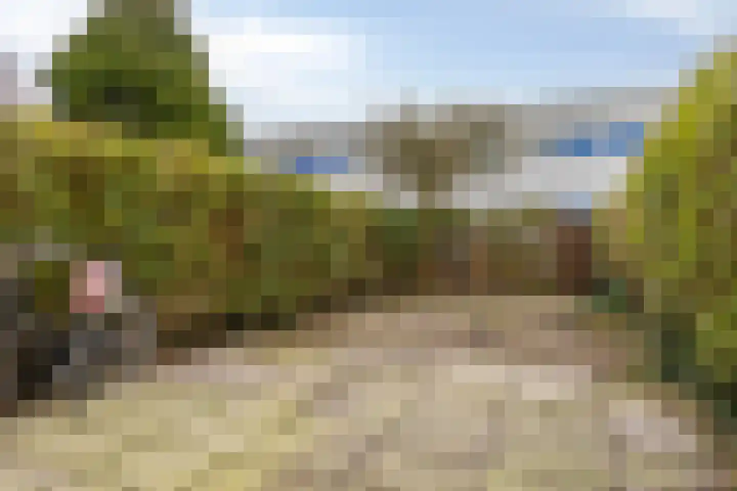 Nehrusingel 130 Rotterdam thumbnail 23