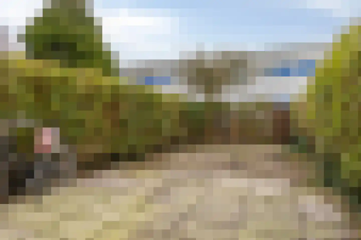 Nehrusingel 130 Rotterdam thumbnail 4