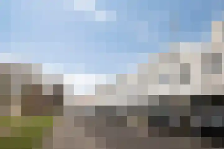 Nehrusingel 130 Rotterdam thumbnail 5