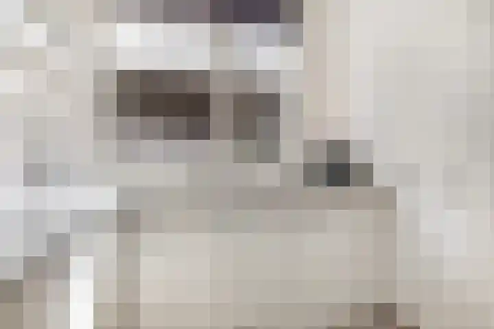 Nehrusingel 15 Ede thumbnail 11