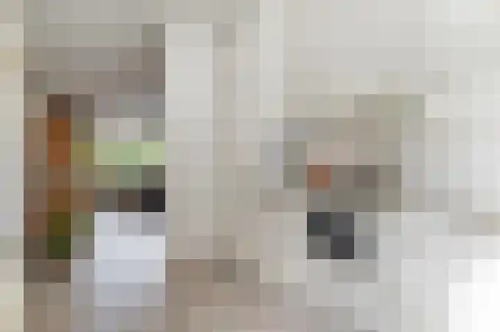 Nehrusingel 15 Ede thumbnail 12