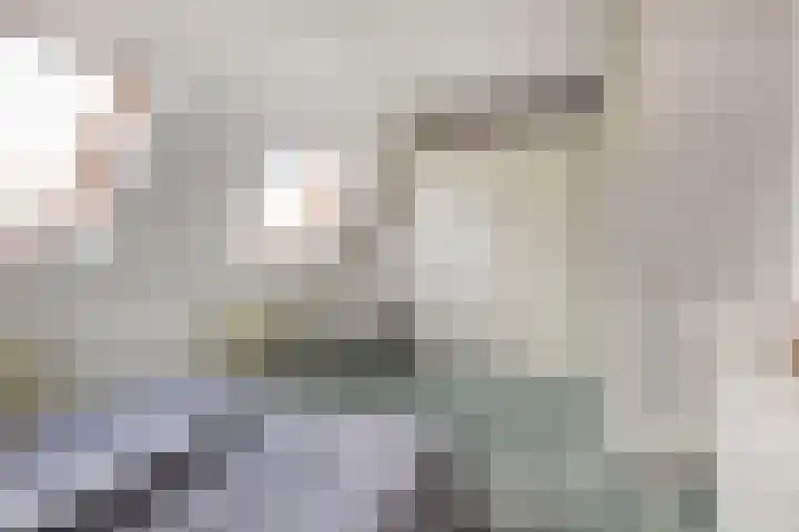 Nehrusingel 15 Ede thumbnail 16