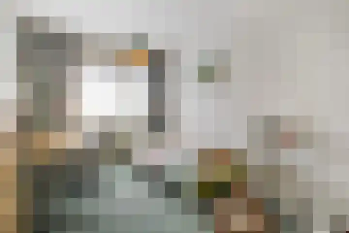 Nehrusingel 15 Ede thumbnail 17