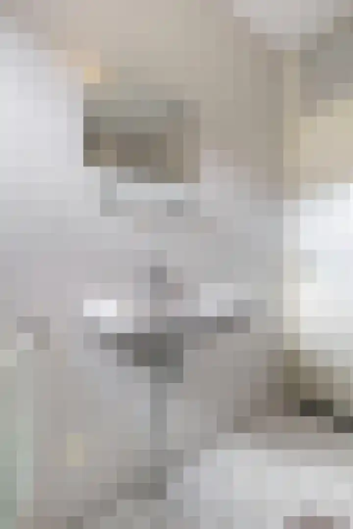 Nehrusingel 15 Ede thumbnail 20