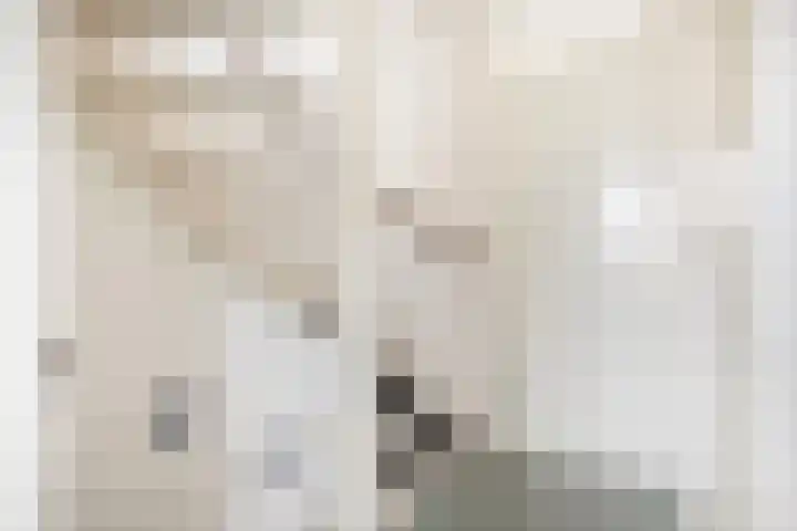 Nehrusingel 15 Ede thumbnail 22