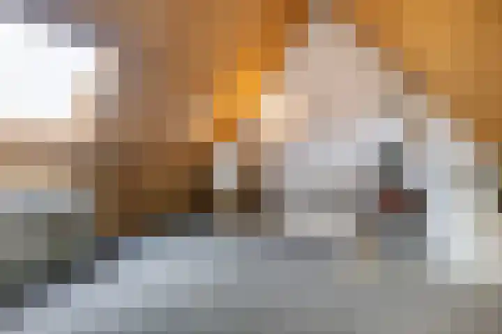Nehrusingel 15 Ede thumbnail 23